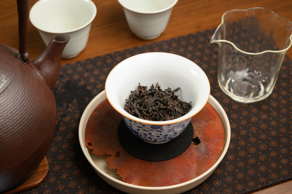 2023  rou gui  yuan hu lan xin 2
