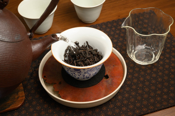 2023  rou gui  yuan hu lan xin 4