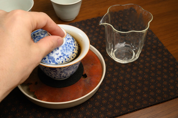 2023  rou gui  yuan hu lan xin 5