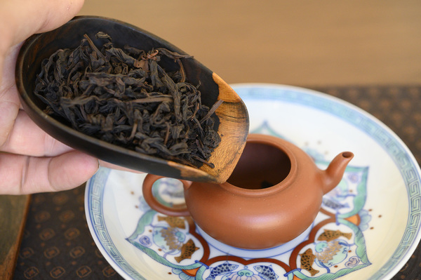 2024  jin jing jian  lao cong 4
