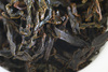 2026  masu  old tree 8